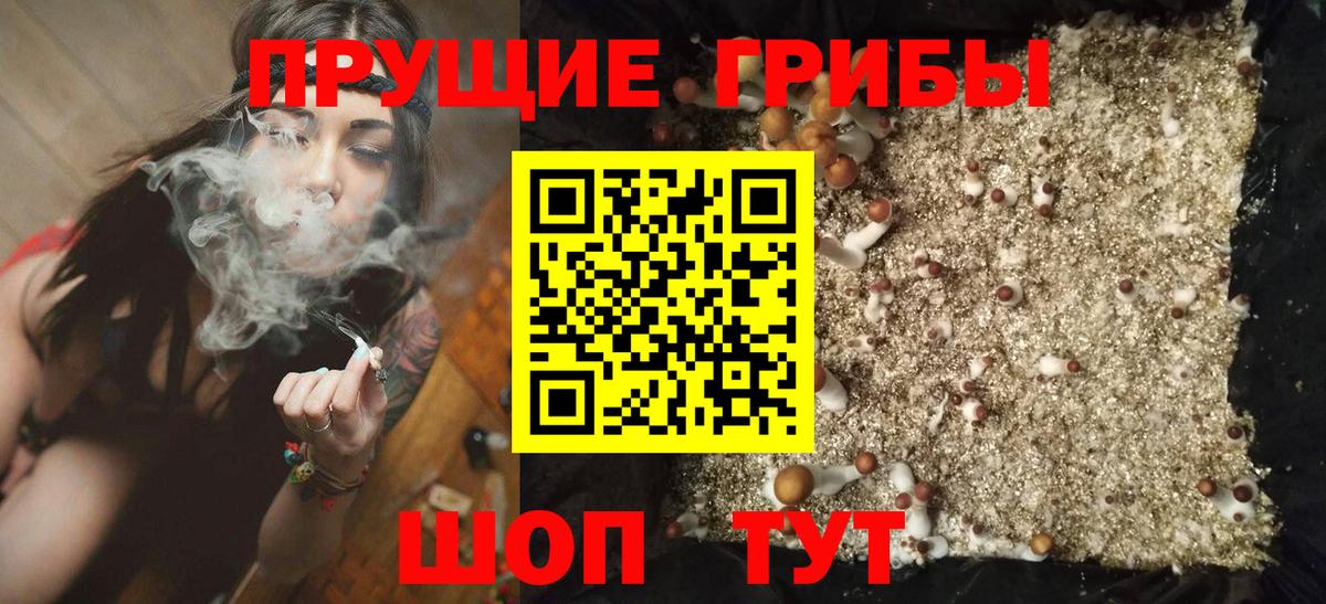 Псилоцибиновые грибы мицелий Зеленокумск