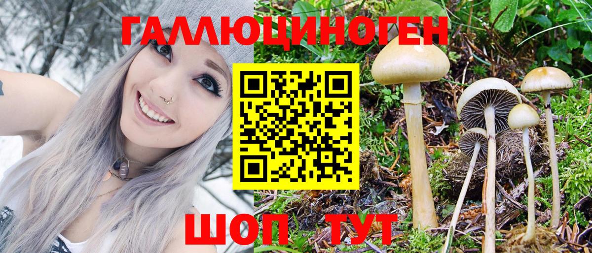 Зеленокумск  Псилоцибиновые грибы Magic Shrooms  Вход с VPN  Галлюциногенные грибы Psilocybe 
